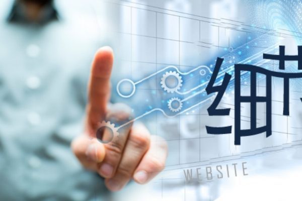 南平�网站建设PC端与移动端开发优先级决策指南